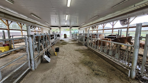 Historical Place «Marsh-Billings-Rockefeller National Historical Park», reviews and photos, 54 Elm St, Woodstock, VT 05091, USA