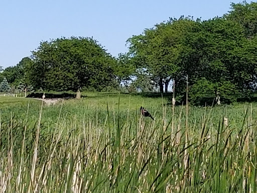 Golf Club «RedTail Golf Club», reviews and photos, 7900 Redtail Dr, Village of Lakewood, IL 60014, USA
