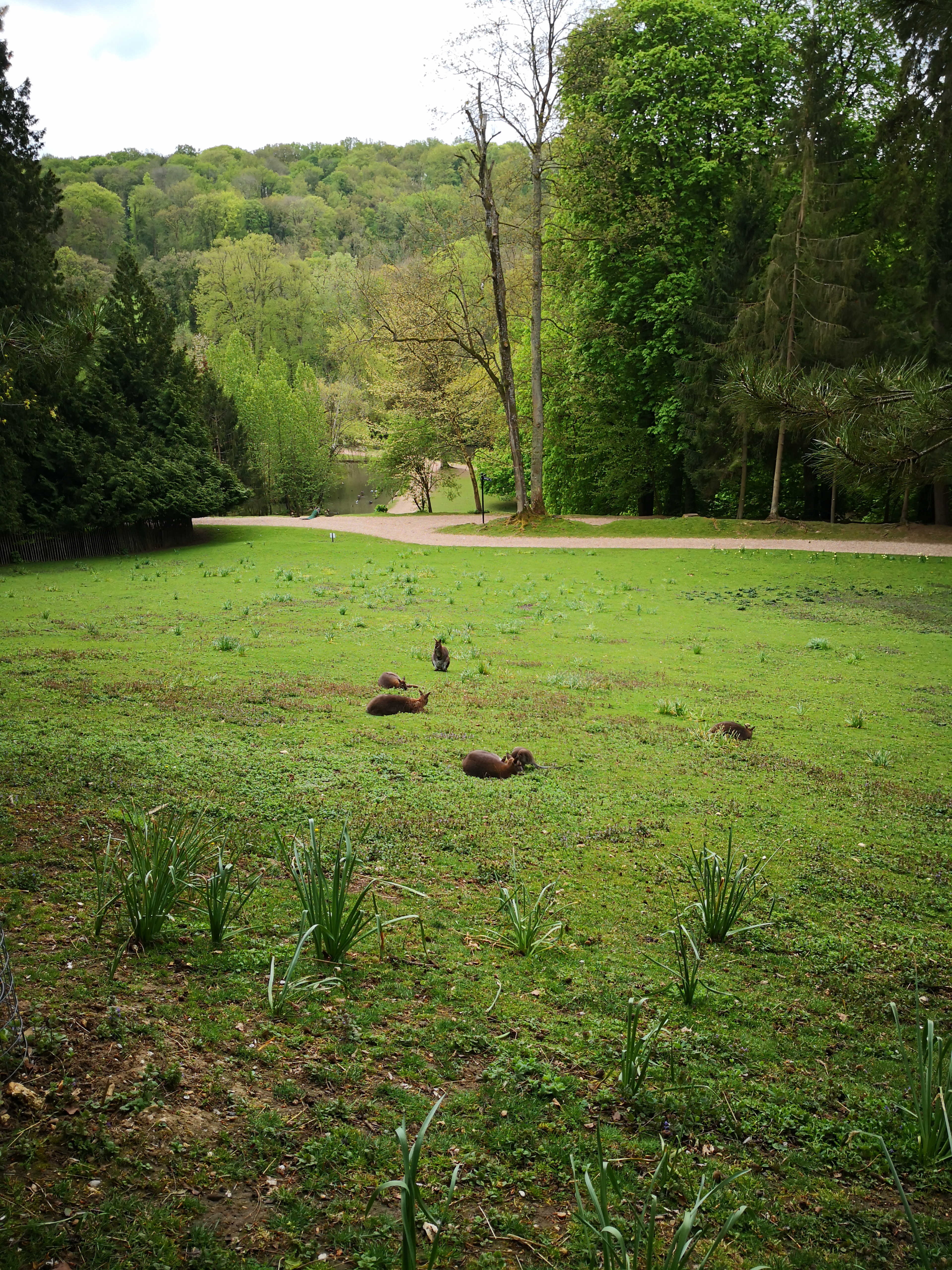 Photo n° 18 de l'avis de Mélanie. fait le 02/05/2019 à 08:22