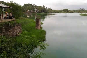 Dr Salim Ali Lake image