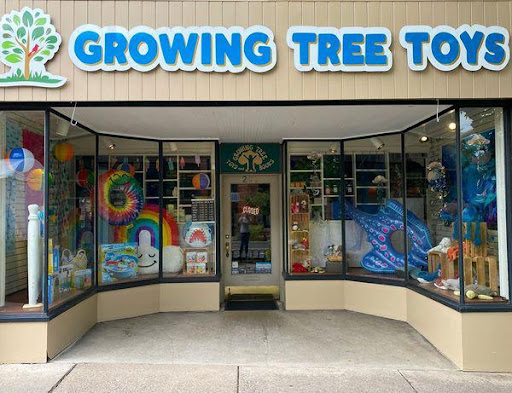 Gift Shop «Growing Tree Toys», reviews and photos, 202 S Allen St, State College, PA 16801, USA