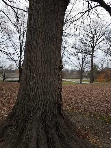 Park «Garfield Park», reviews and photos, 2505 Conservatory Dr, Indianapolis, IN 46203, USA
