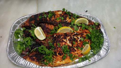 أسماك الطبق الطائر 