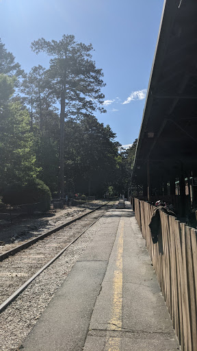 Tourist Attraction «SkyHike®», reviews and photos, Memorial Hall Cir, Stone Mountain, GA 30087, USA