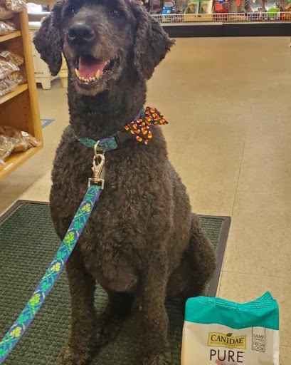 Pet Supply Store «Pets Choice», reviews and photos, 454 Daniel Webster Hwy, Merrimack, NH 03054, USA