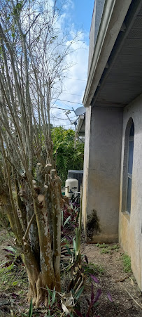 Eagle Eye photography by scott - Photo 7 - Car repair in Port St. Lucie, FL, Port St. Lucie