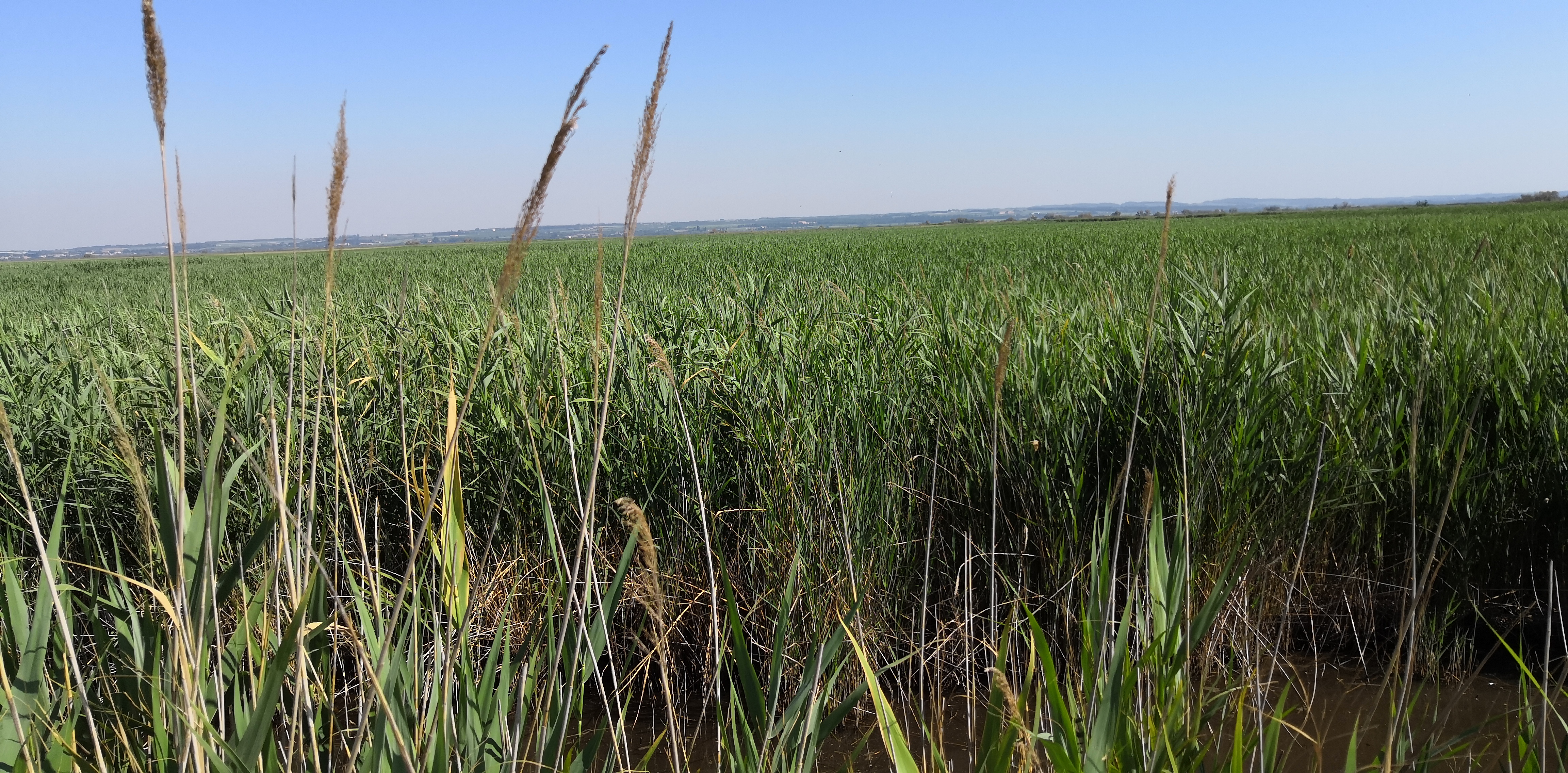 Photo n° 4 de l'avis de Ugo. fait le 01/06/2019 à 11:32
