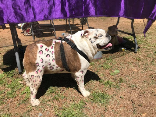 Auto Insurance Agency «State Farm: Melanie Stone», reviews and photos