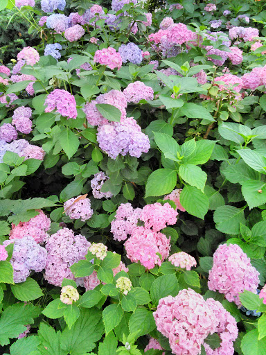 Park «Madison Square Park», reviews and photos, 11 Madison Ave, New York, NY 10010, USA