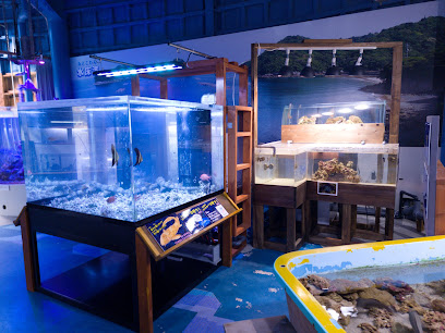 海洋自然博物館 マリンジャム