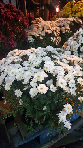 Produce Market «Hudson Farmers Market», reviews and photos, 3437 John F. Kennedy Blvd, Jersey City, NJ 07307, USA