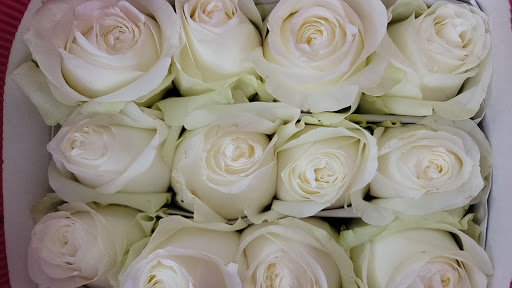 Florist «Expressions Florist», reviews and photos, 1190 E Imperial Hwy, Placentia, CA 92870, USA