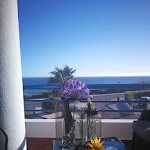 Photo n°1 de l'avis de hamda. fait le 29/07/2017 à 23:45 sur le  Pestana Cascais à Cascais