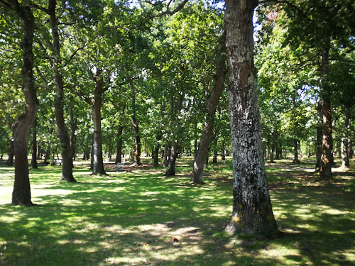 Parc Du Broustic à Andernos-les-Bains
