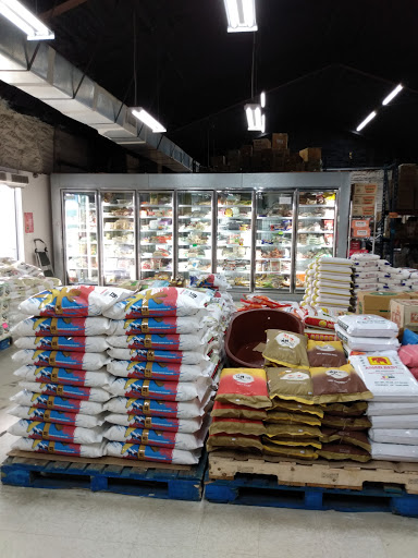 Asian Grocery Store «Brandon Oriental Market», reviews and photos, 112 Pauls Dr, Brandon, FL 33511, USA