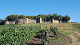 Domaine du Château d'Arlay - Vignoble & Histoire Arlay