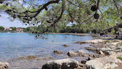Uvala Zmorasnja Luka'in fotoğrafı ve yerleşim