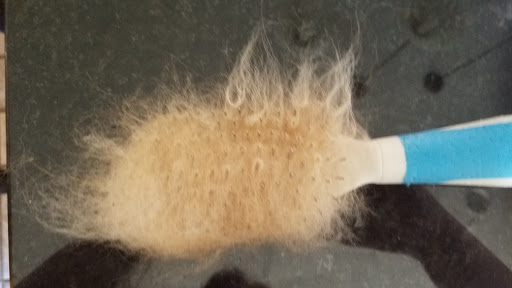 Pet Supply Store «PetSmart», reviews and photos, 479 River Hill Dr, Ashland, KY 41101, USA