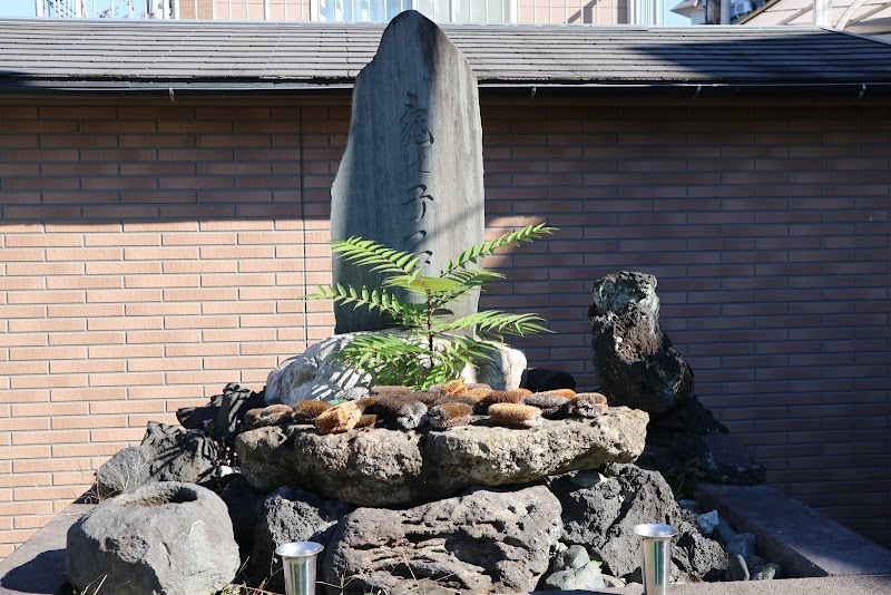 亀の子石神社(亀の子様)