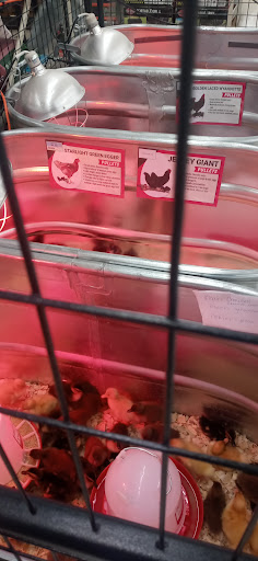 Home Improvement Store «Tractor Supply Co.», reviews and photos, 2070 S Cedar St, Imlay City, MI 48444, USA