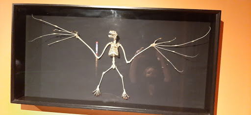 Tourist Attraction «Ghost Train Adventure», reviews and photos, 19 San Marco Ave, St Augustine, FL 32084, USA