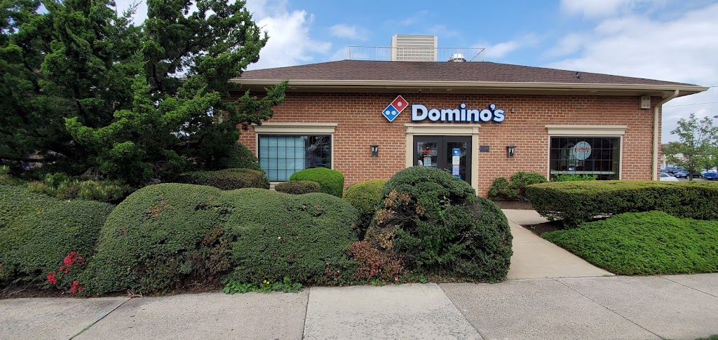 Domino's Pizza 20170