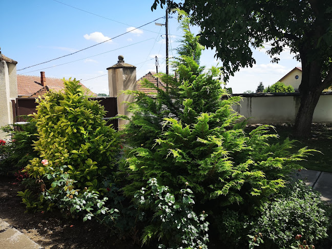 Borsodszirák Római Katolikus Plébánia - Borsodszirák