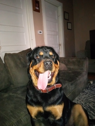 940 Unity Trestle Rd, Pittsburgh, PA 15239, USA