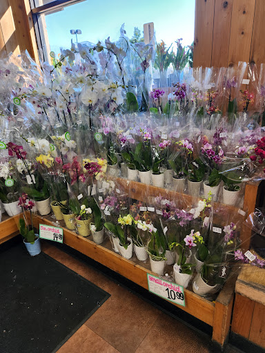 Trader Joes image
