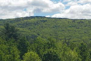 Gilford Parks-Recreation Department