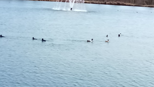 Park «Russell Creek Park», reviews and photos, 3500 McDermott Rd, Plano, TX 75025, USA