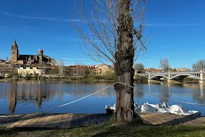 Viewpoint of the Cathedral of Salamanca image