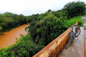 Rio Pará image