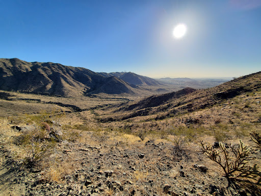 Bursera Peak