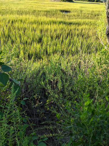 Water Park «Memorial Waterfront Park», reviews and photos, 99 Harry M. Hallman Jr Blvd, Mt Pleasant, SC 29464, USA