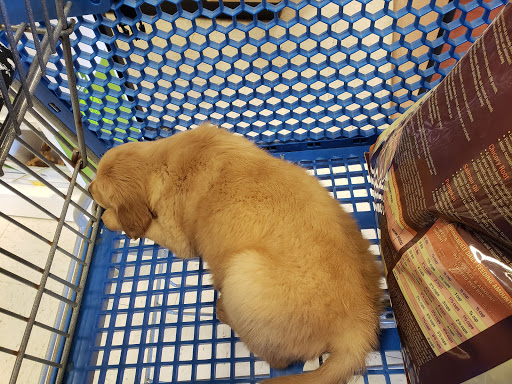 Pet Supply Store «PetSmart», reviews and photos, 2929 James Sanders Blvd f, Paducah, KY 42001, USA