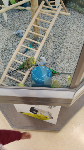 Pet Supply Store «Petco Animal Supplies», reviews and photos, 1412 S Main Chapel Way, Gambrills, MD 21054, USA