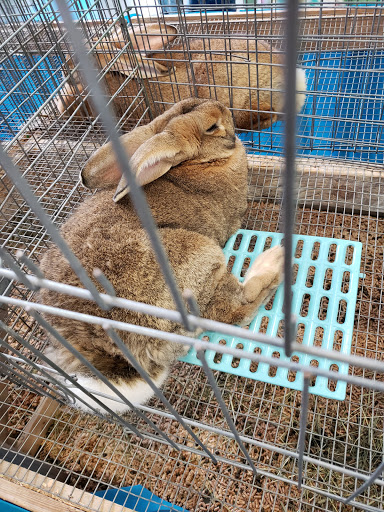 Fairground «The Evergreen State Fairgrounds», reviews and photos, 14405 179th Ave SE, Monroe, WA 98272, USA