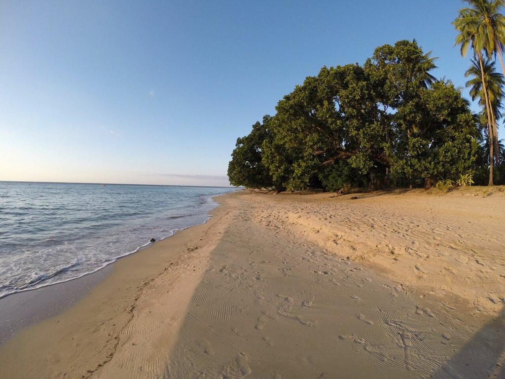 Zdjęcie Glorie Beach z powierzchnią jasny, drobny piasek