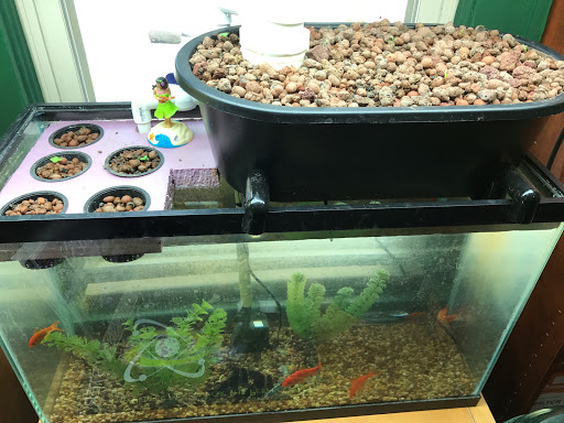 Landscape Designer «Aquatic Design & Supplies, Inc.», reviews and photos, 445 N Chestnut St, Monrovia, IN 46157, USA