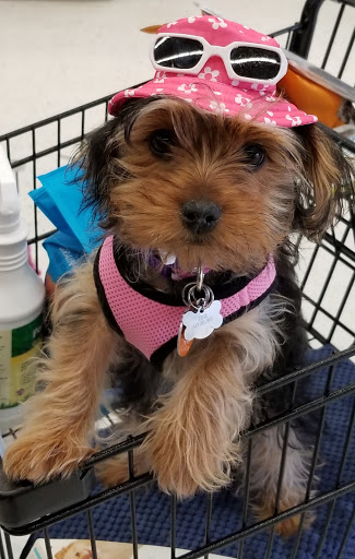 Pet Supply Store «Petco Animal Supplies», reviews and photos, 2575 Fairview Ave N, Roseville, MN 55113, USA