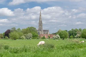 Harnham Water Meadows image