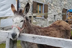 Agriturismo Ca' di Racc image