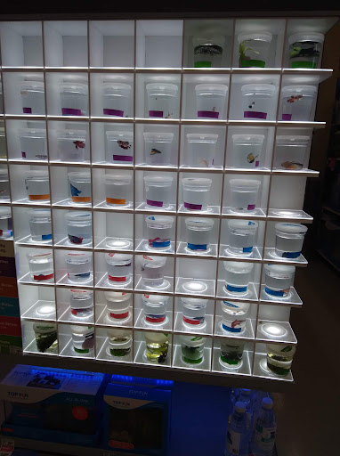 Pet Supply Store «PetSmart», reviews and photos, 3630 Peachtree Pkwy, Suwanee, GA 30024, USA