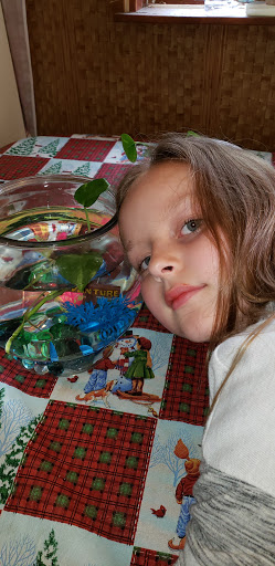 Pet Supply Store «Petco Animal Supplies», reviews and photos, 200 McMahan Blvd, Marion, OH 43302, USA