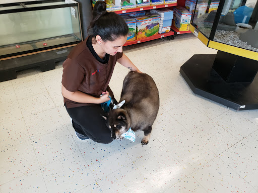 Pet Supply Store «Petco Animal Supplies», reviews and photos, 25 Hazard Ave, Enfield, CT 06082, USA