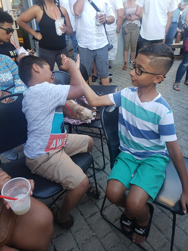 Performing Arts Theater «Near West Theatre», reviews and photos, 6702 Detroit Ave, Cleveland, OH 44102, USA