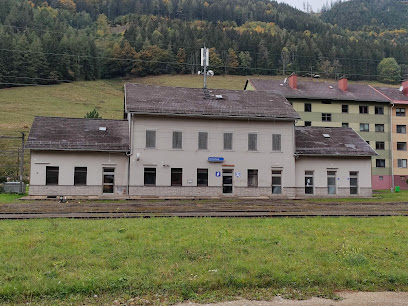 Bahnhof Vordernberg Süd, Erzbergbahn