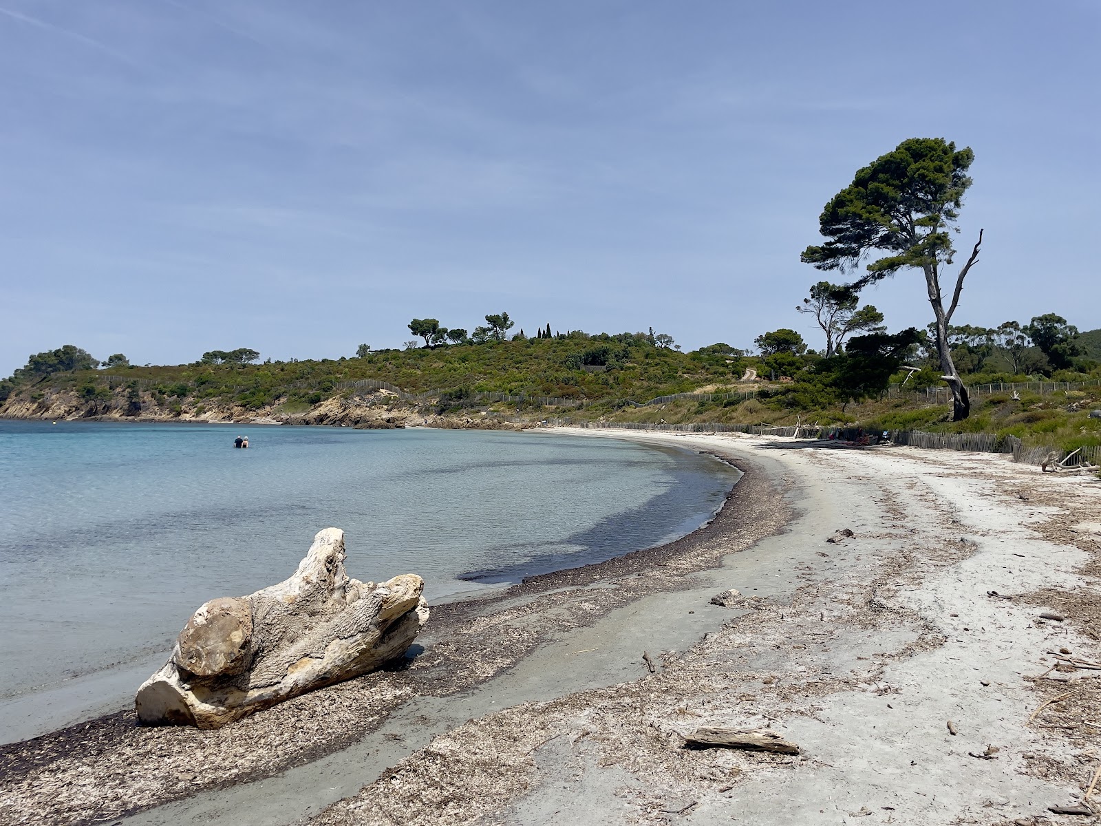 Plage de la Vignasse'in fotoğrafı düz bir kıyı şeridi ile birlikte