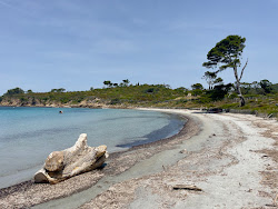 Plage de la Vignasse'in fotoğrafı düz bir kıyı şeridi ile birlikte